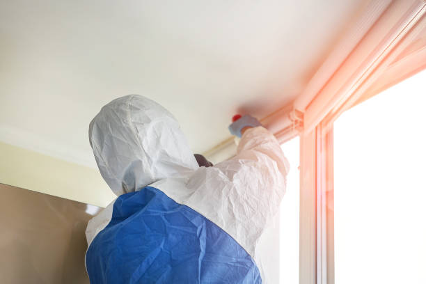 Trusted Lineville, AL Mold Removal Experts